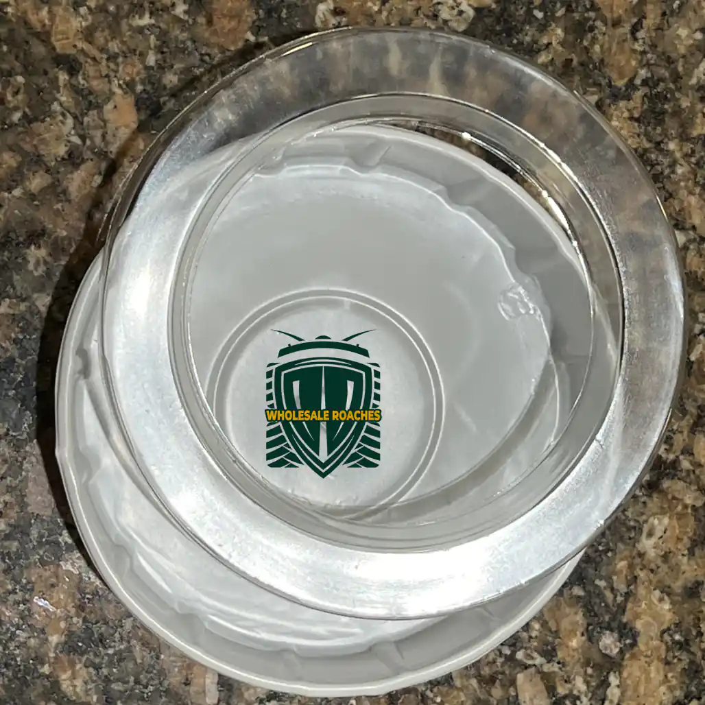 Product image for Alcatraz Feeding Bowl - XL